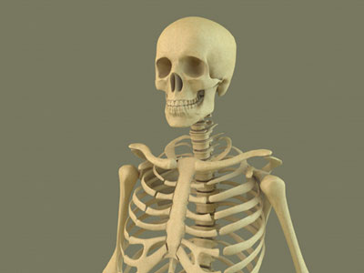 c4d skeleton cu