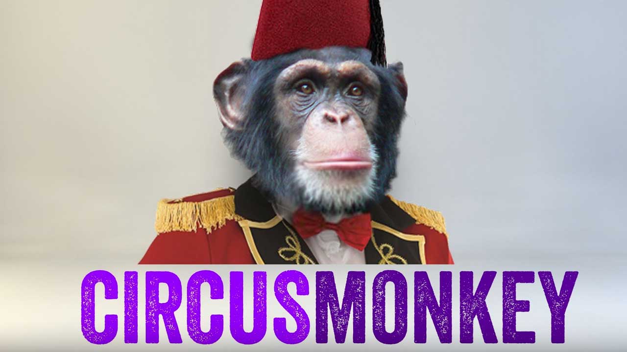 CircusMonkey for After Effects