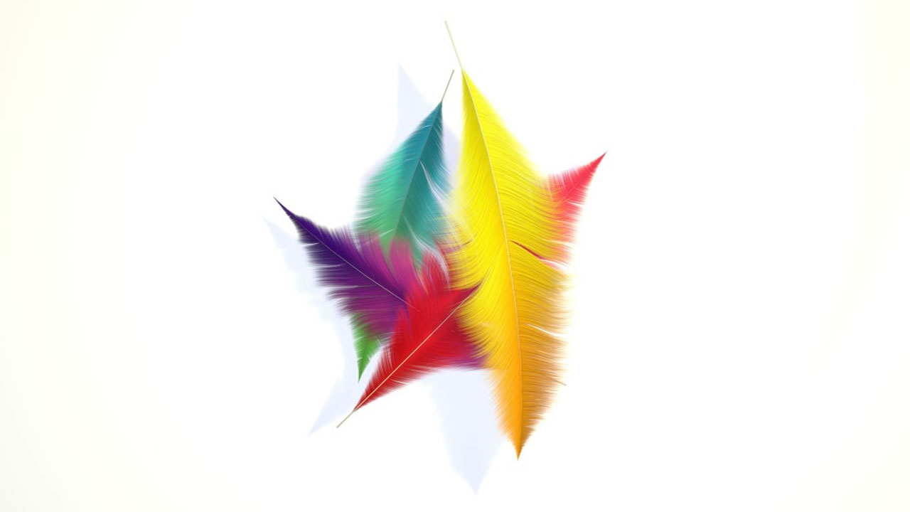 How to Create Colorful Feathers in Cinema 4D