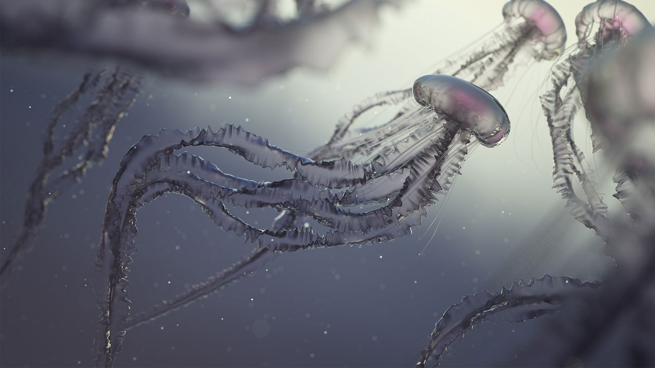 Model, Texture, and Light a Jellyfish in Cinema 4D