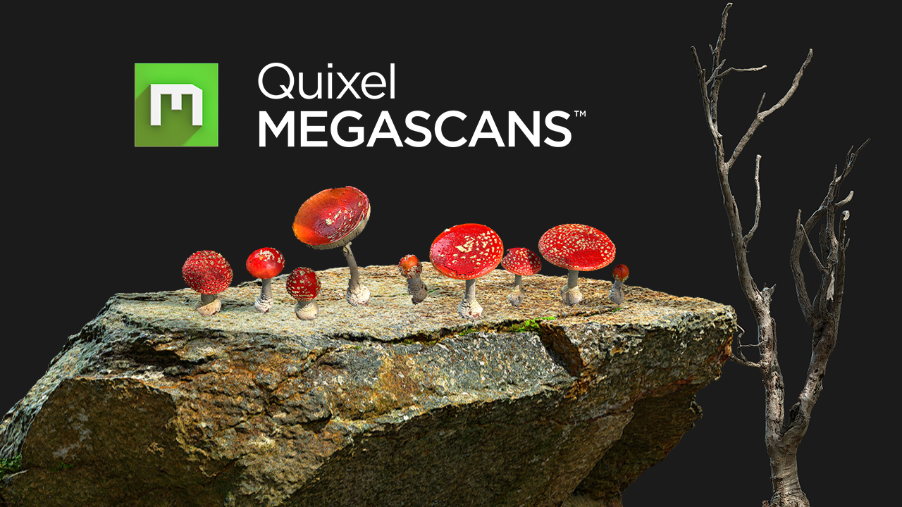 Freebie: Quixel Megascans 2018 Free Pack