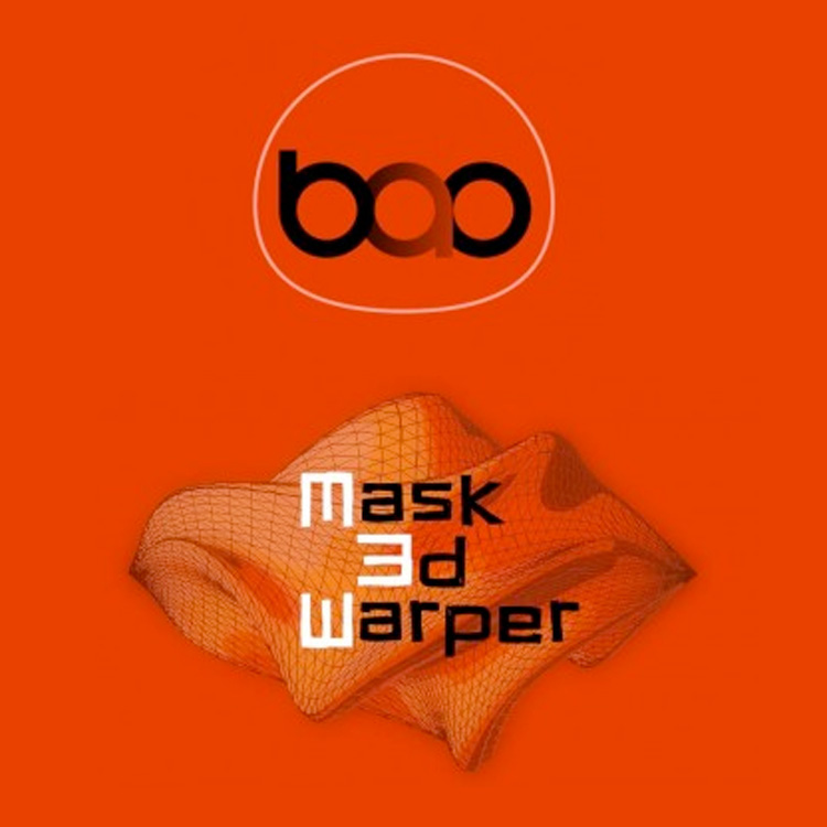 bao mask 3d warper
