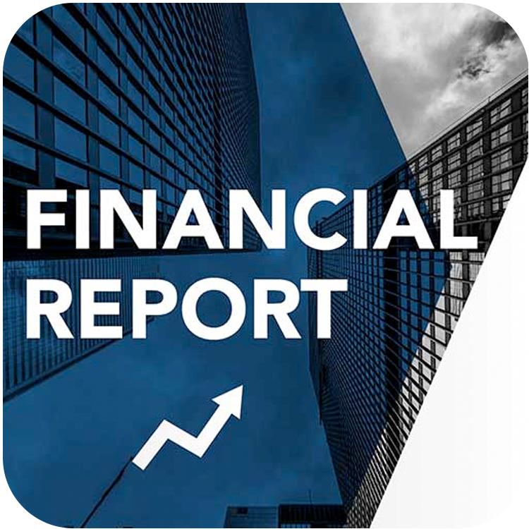 premiumvfx financial report